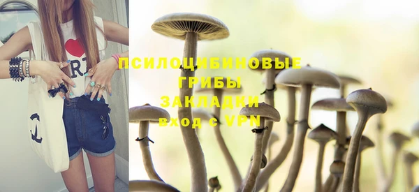 меф Горно-Алтайск