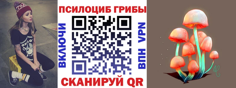 Псилоцибиновые грибы Psilocybe Муром